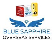 Blue Sapphire Overseas Services